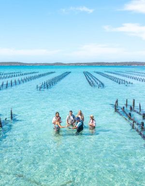 Top down aerial photo of guests wading amongst oyster racks