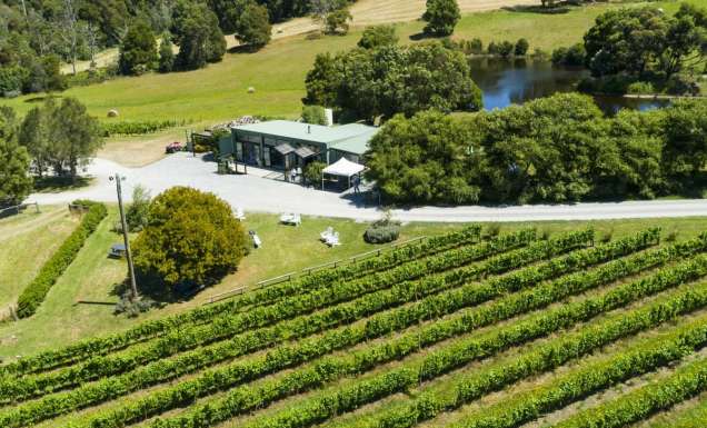Aerial shot of Waratah Hills Vineyard