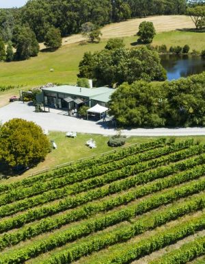 Aerial shot of Waratah Hills Vineyard