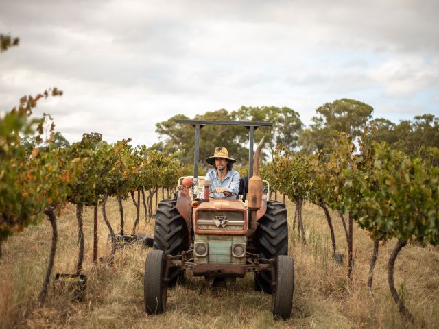 Heslop Wines in mudgee