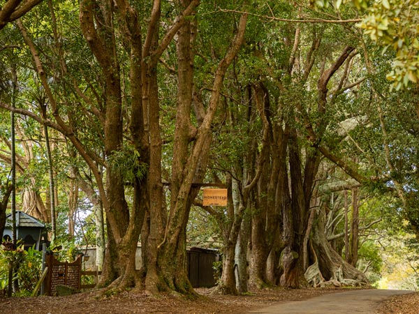 The Homestead Restaurant on Norfolk Island