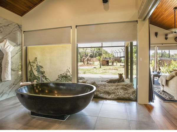 a private bathroom with tub with a tiger from the other side of the glass panel at Jamala Wildlife Lodge, Canberra, ACT