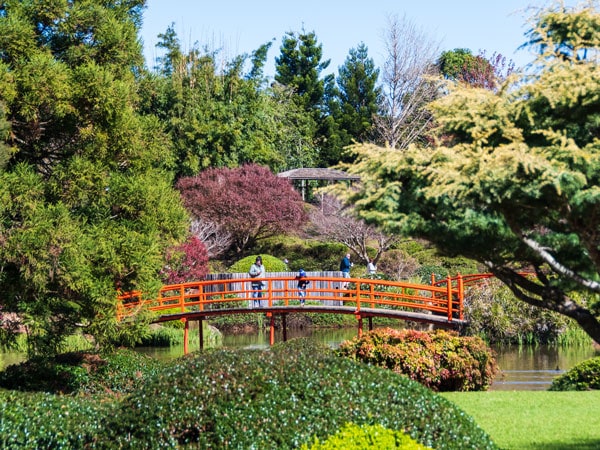 the Japanese Garden ‘Ju Raku En’, Qld