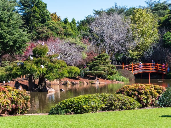 lush greenery and colourful blooms at the Japanese Garden ‘Ju Raku En’, Qld