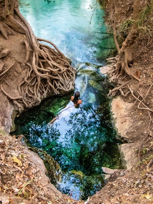 a woman swimming in Katherine Hot Springs