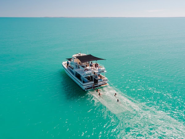 a whale-watching tour in Kimberley