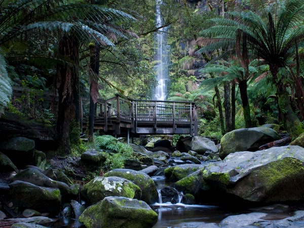 the Sheoak Falls in Lorne