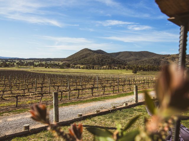 Moothi Estate mudgee