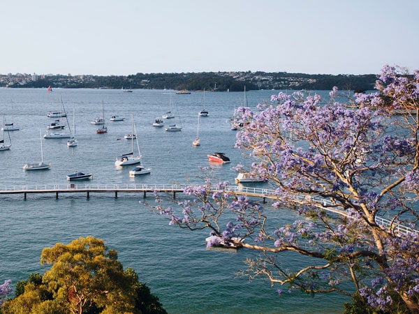 an aerial view of boats moored near Murray Rose Pool