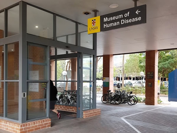 the Museum of Human Disease, NSW