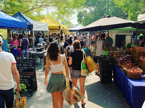 people shopping at Northey Street Organic Farmers Market