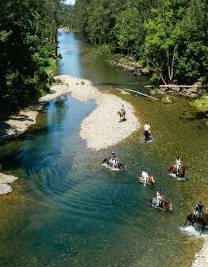 Family exploring the beautiful Orara Valley on a guided horseriding tour with HWH Stables