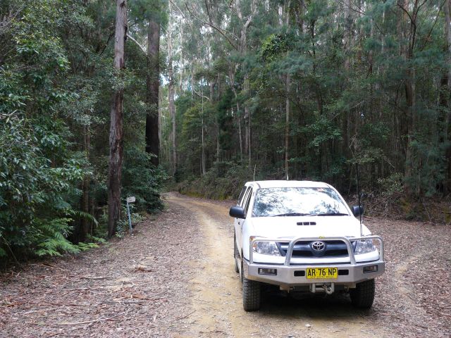 a 4WD driving through Orara Escarpment