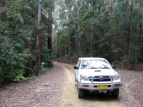 a 4WD driving through Orara Escarpment