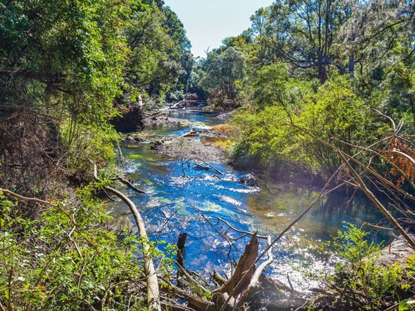 the Orara River in Coramba Nature Reserve