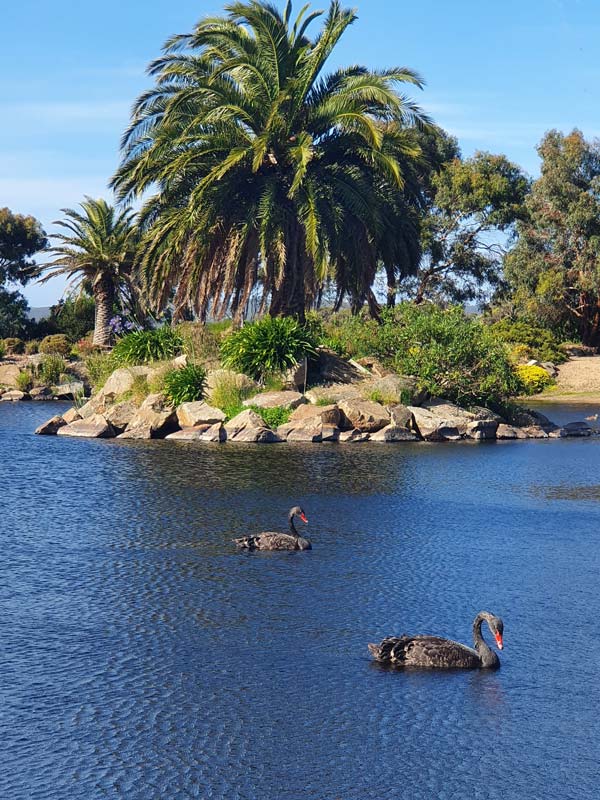 Pond and animals at Panorama Wildlife Sanctuary and Secret Gardens.