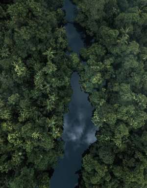 Daintree Rainforest, QLD