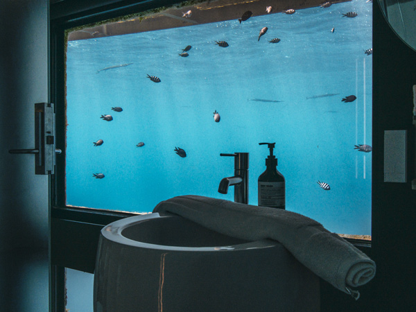 Reefsuites bathroom underwater