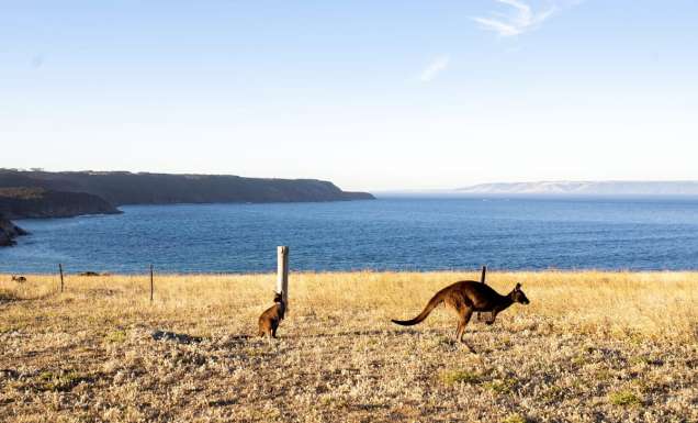 Kangaroo Island, SA