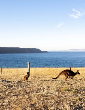 Kangaroo Island, SA