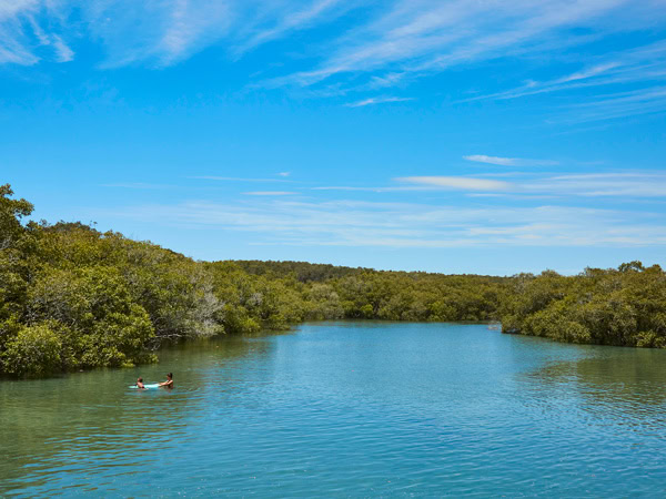lush greenery surrounding Simpsons Creek