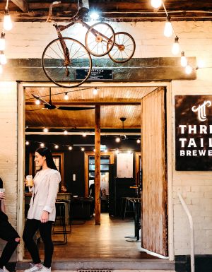 Patrons enjoying a drink at Three Tails Brewery