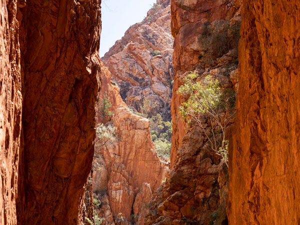the breathtaking geological formation of Standley Chasm