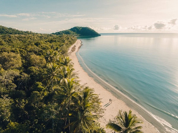 Cape Tribulation