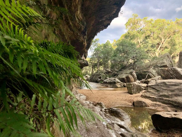 the rocky outcrops with moss and plants at The Drip walking track