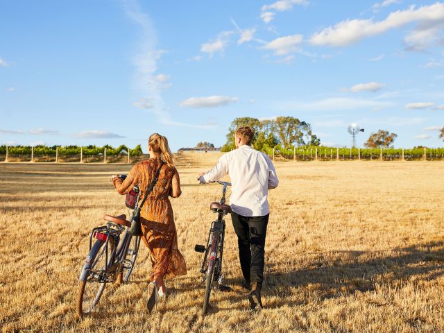 Cycle the scenic vineyards with Tour De Vines.