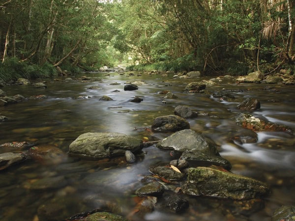 the Urumbilum River Plateau, Circuit Loop Trail