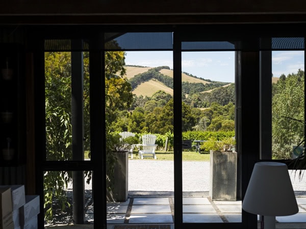 Outdoor area of Waratah Hills Vineyard