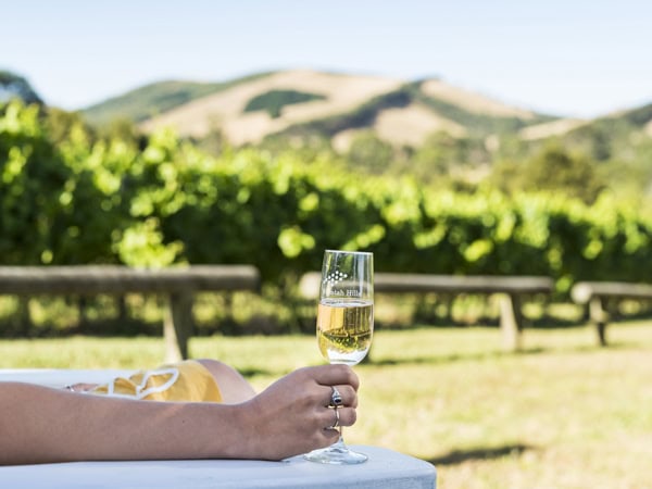 Glass of sparkling at Waratah Hills Vineyard in Gippsland