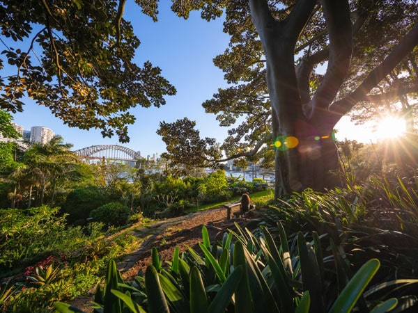 view of the Sydney Harbour from Wendy Whiteley’s Secret Garden