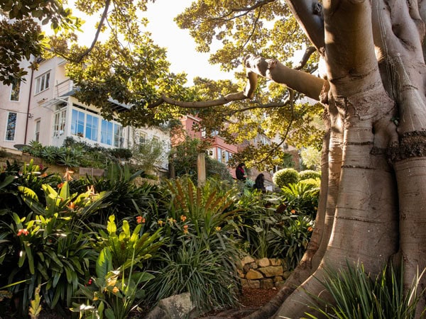 the Wendy Whiteley’s Secret Garden in NSW