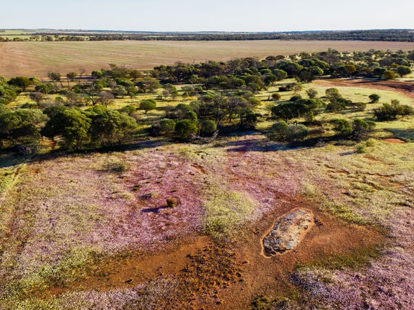 the Coalseam Conservation Park in WA