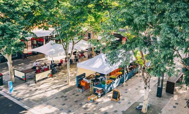 Coffs Coast Growers Markets