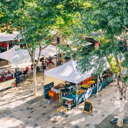 Coffs Coast Growers Markets