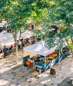 tobacco retailer Tobacco Retailer Density