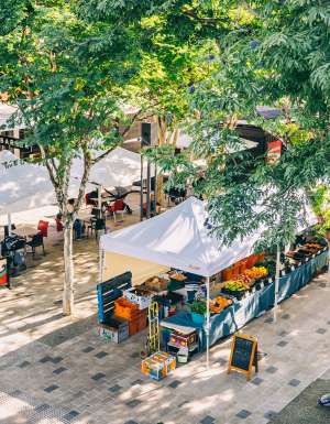 Coffs Coast Growers Markets