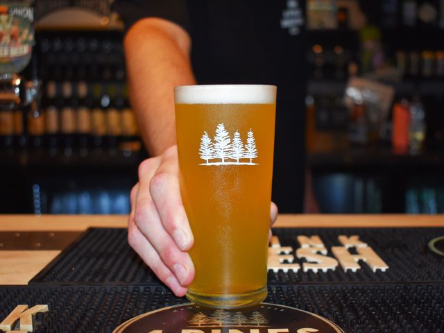 a pint of beer at 4 Pines Brewing Co. Mooloolaba