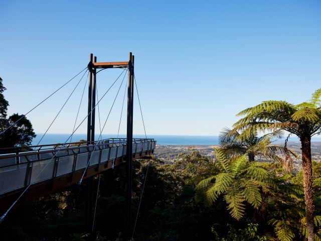 Forest Sky Pier, Niigi Niigi - Sealy Lookout, Korora