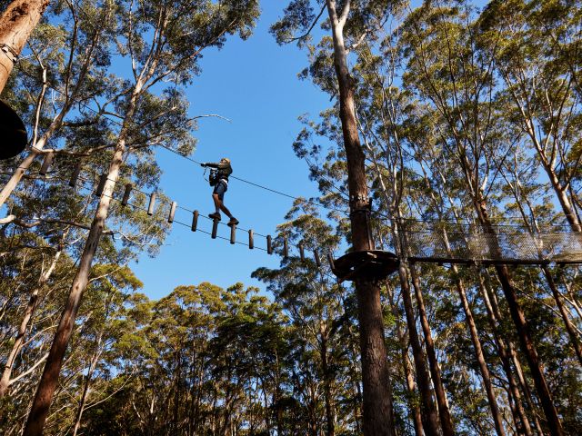 a man walking along the course at Treetops Adventure Coffs Harbour, Coffs Harbour
