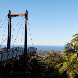 Forest Sky Pier, Niigi Niigi - Sealy Lookout, Korora