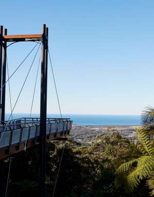 Forest Sky Pier, Niigi Niigi - Sealy Lookout, Korora
