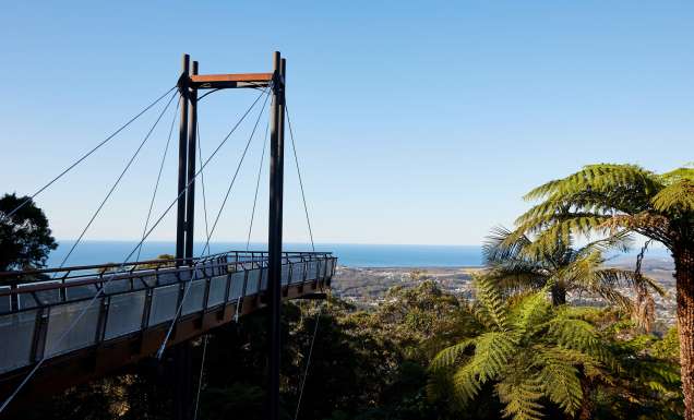 Forest Sky Pier, Niigi Niigi - Sealy Lookout, Korora