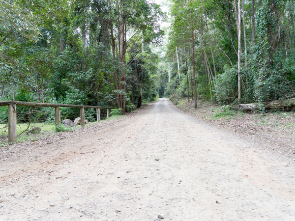 the rough road towards Archer Camping Area, D’Aguilar National Park