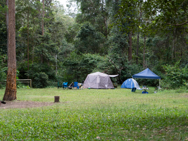 tents set on the Archer Camping Area, D’Aguilar National Park