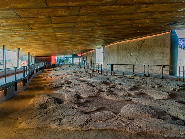 part of Lark quarry's dinosaur stampede inside Australian Age Of Dinosaurs winton guide