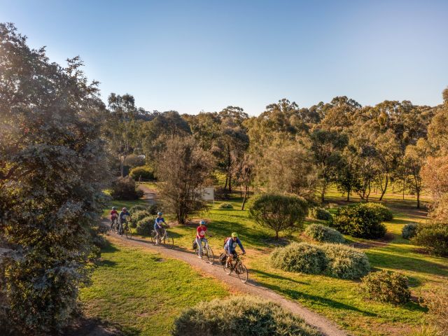 Tour De Vines, Clare Valley Riesling Trail